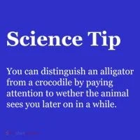 Science Tip Funny Meaning Quote Baby Bodysuit thumb 2