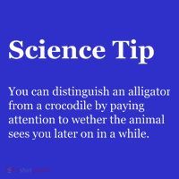 Science Tip Funny Meaning Quote Tank Top thumb 6