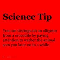 Science Tip Funny Meaning Quote Santa Hat thumb 1