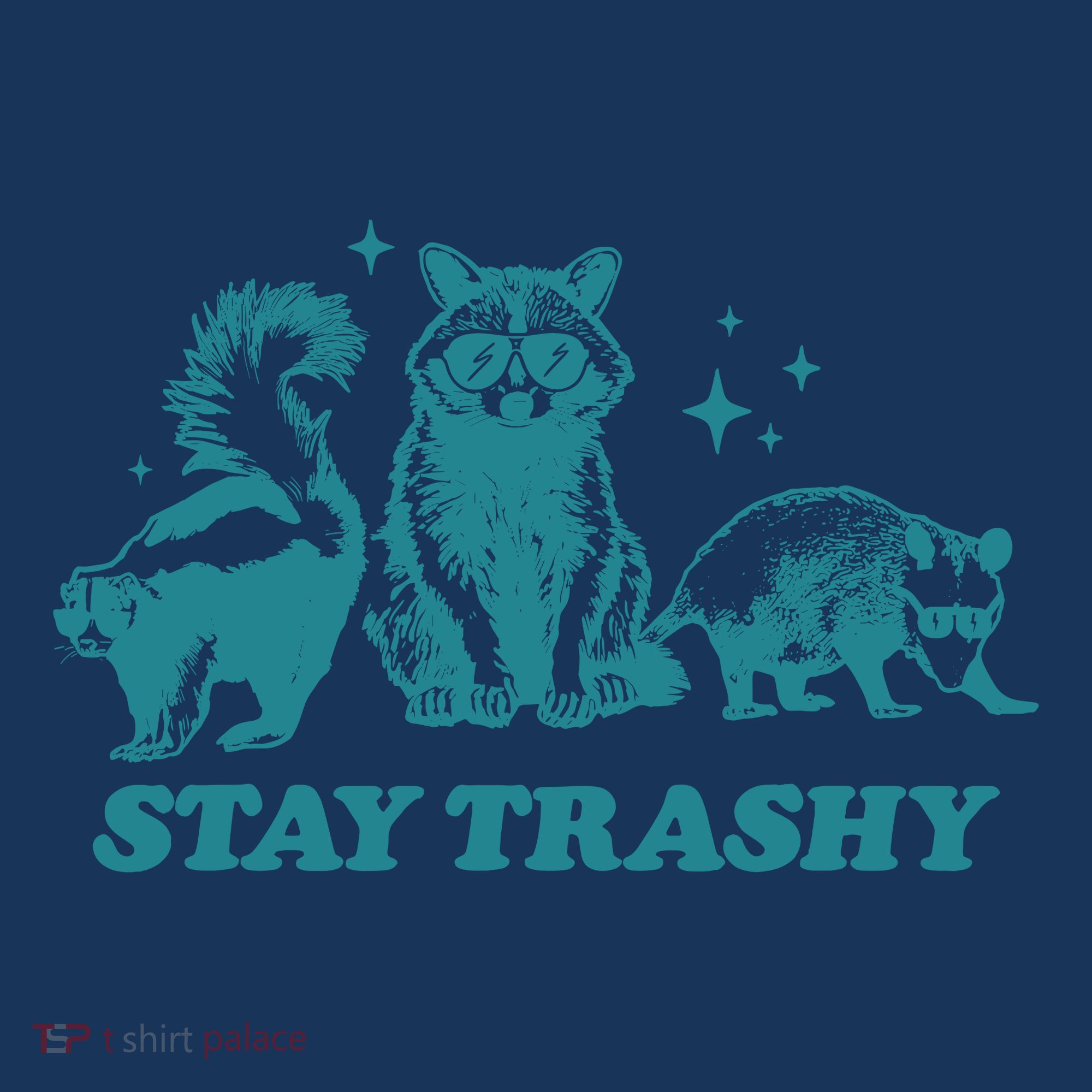 Stay Trashy Funny Raccoon Opossum Skunk Trash Panda Meme Women's Hoodie