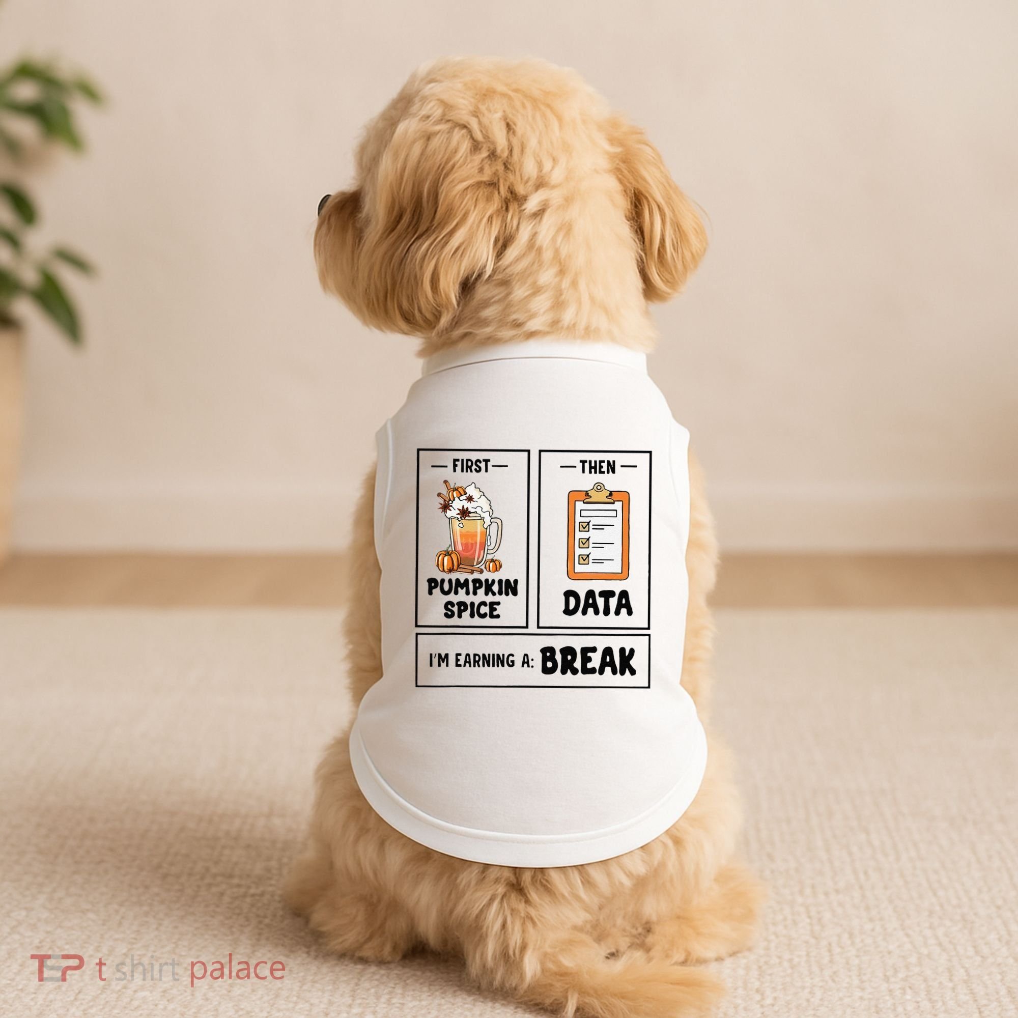 Sped Teacher First Then Behavior Therapist School Psych Doggie Tank