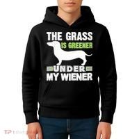 S The Grass Is Greener Under My Wiener Funny Weiner Dog Quote Kids Hoodie thumb 4