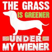S The Grass Is Greener Under My Wiener Funny Weiner Dog Quote Santa Hat thumb 1