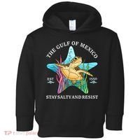 Stay The Gulf Of Mexico Be Salty And Resist Turtle Mexican  Toddler Hoodie thumb 0