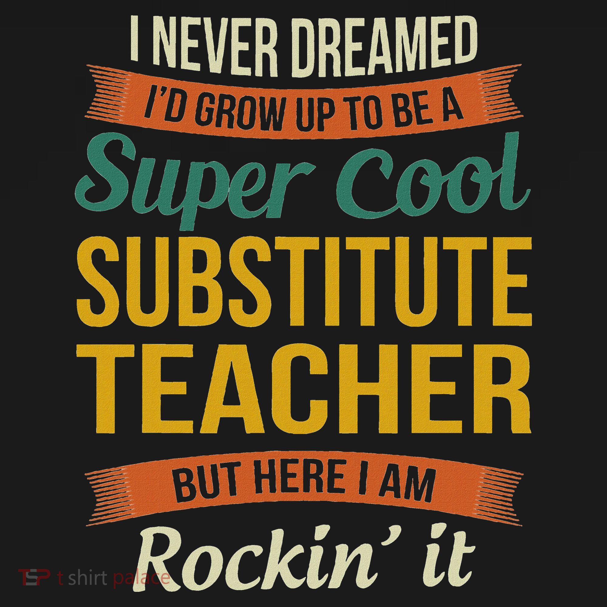 Substitute Teacher Gifts Funny Appreciation Long Sleeve Shirt
