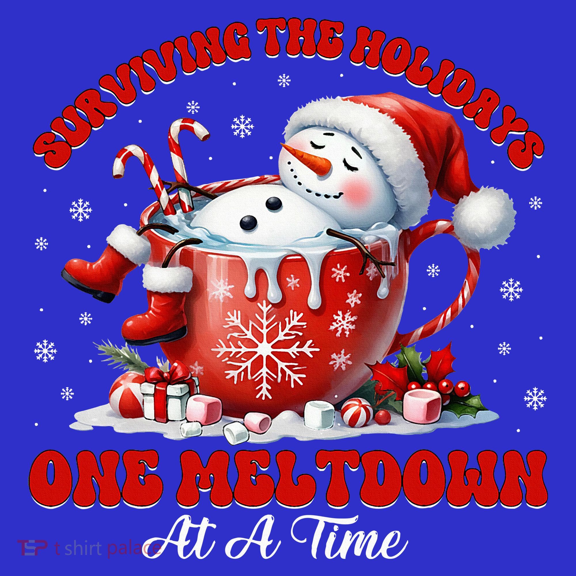 Surviving The Holidays One Meltdown Apron