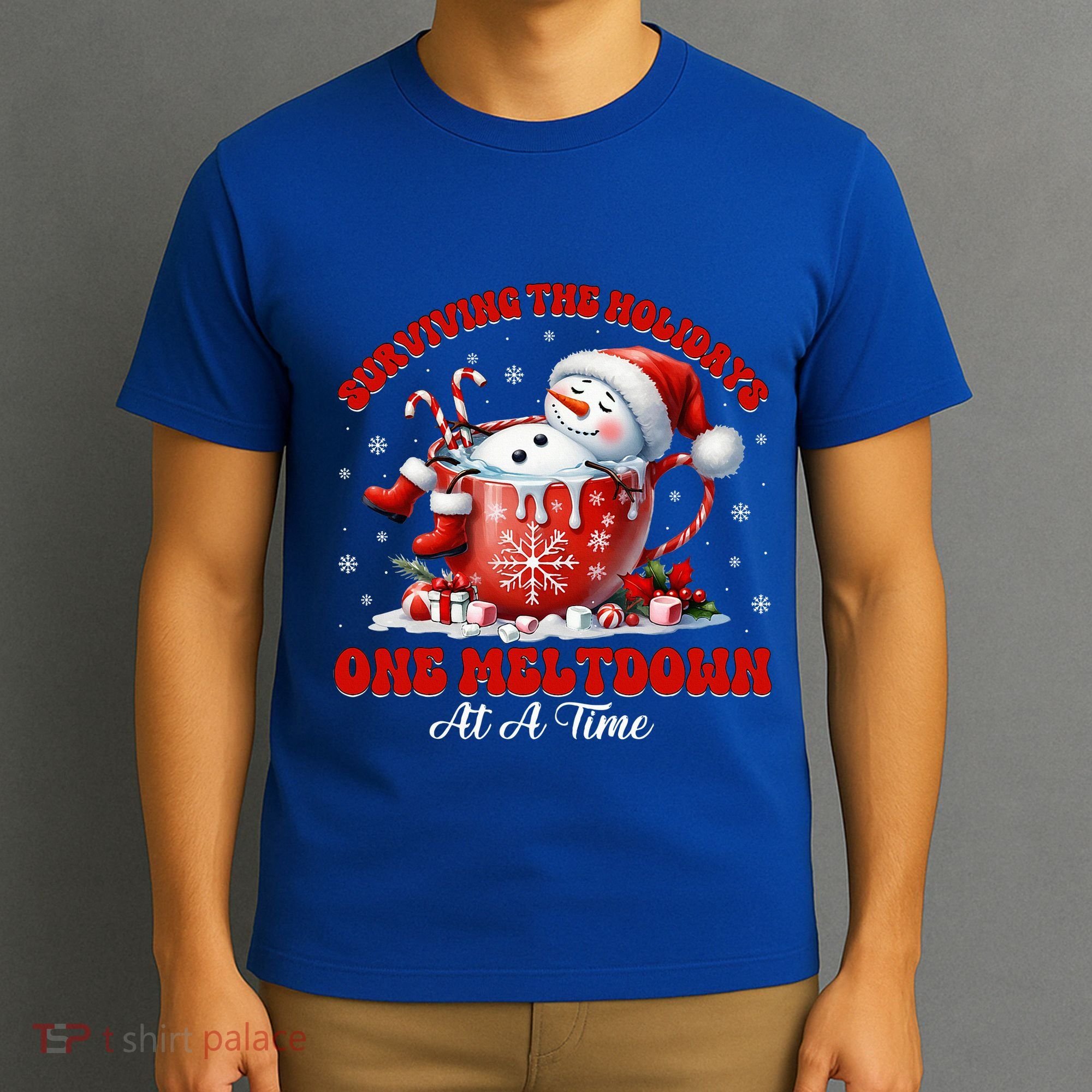 Surviving The Holidays One Meltdown T-Shirt