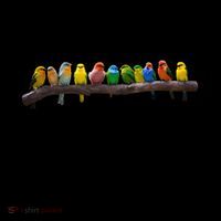 Sing To Him A New Song Psalms 33 3 Coffee Mug thumb 5