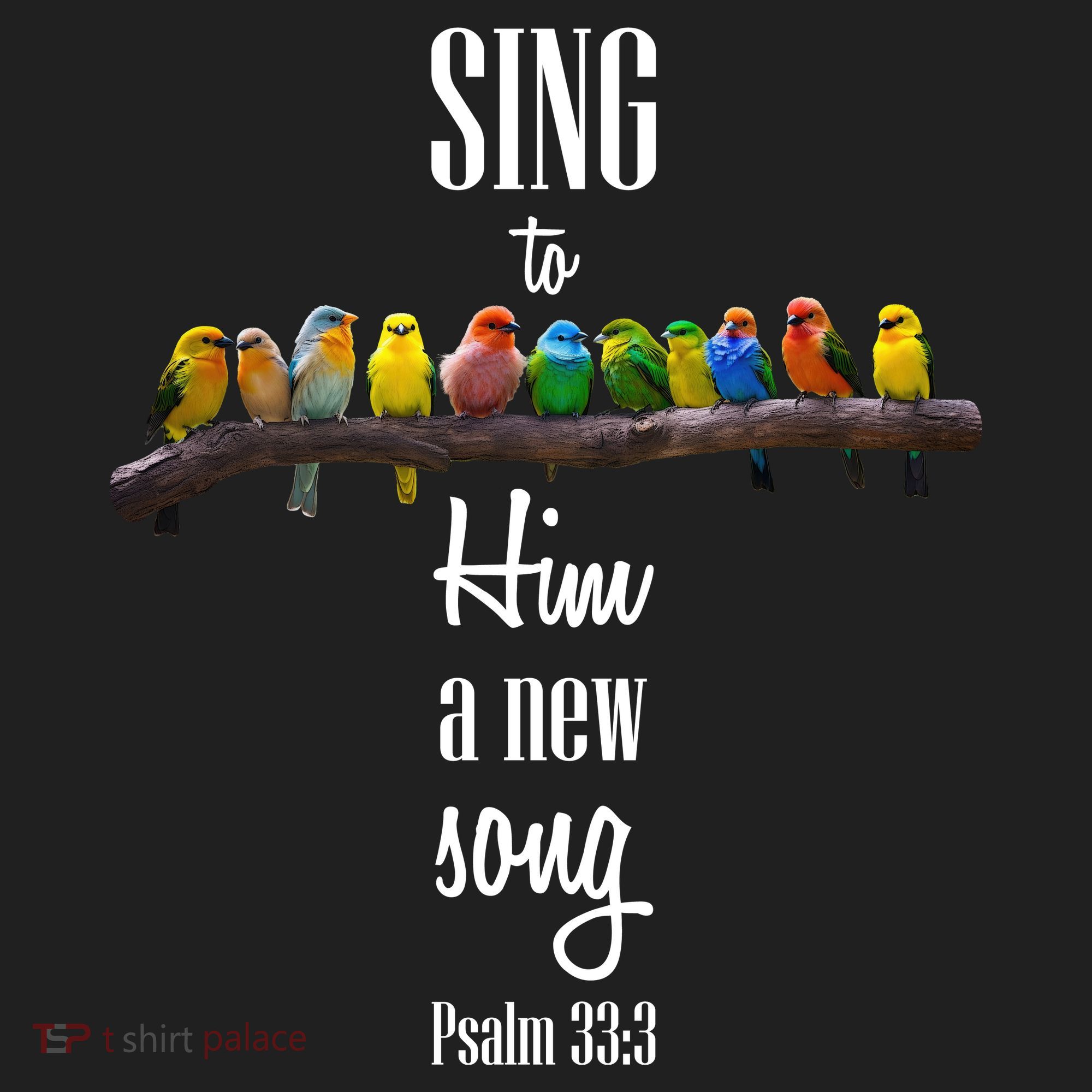 Sing To Him A New Song Psalms 33 3 Tumbler