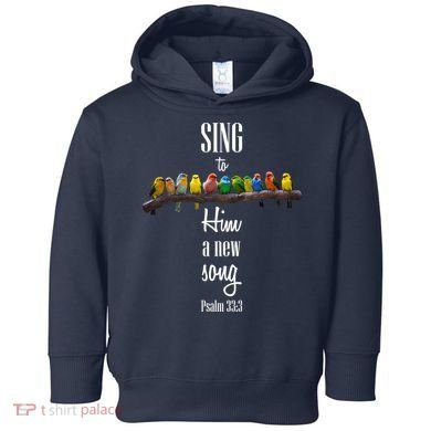 Sing To Him A New Song Psalms 33 3 Toddler Hoodie