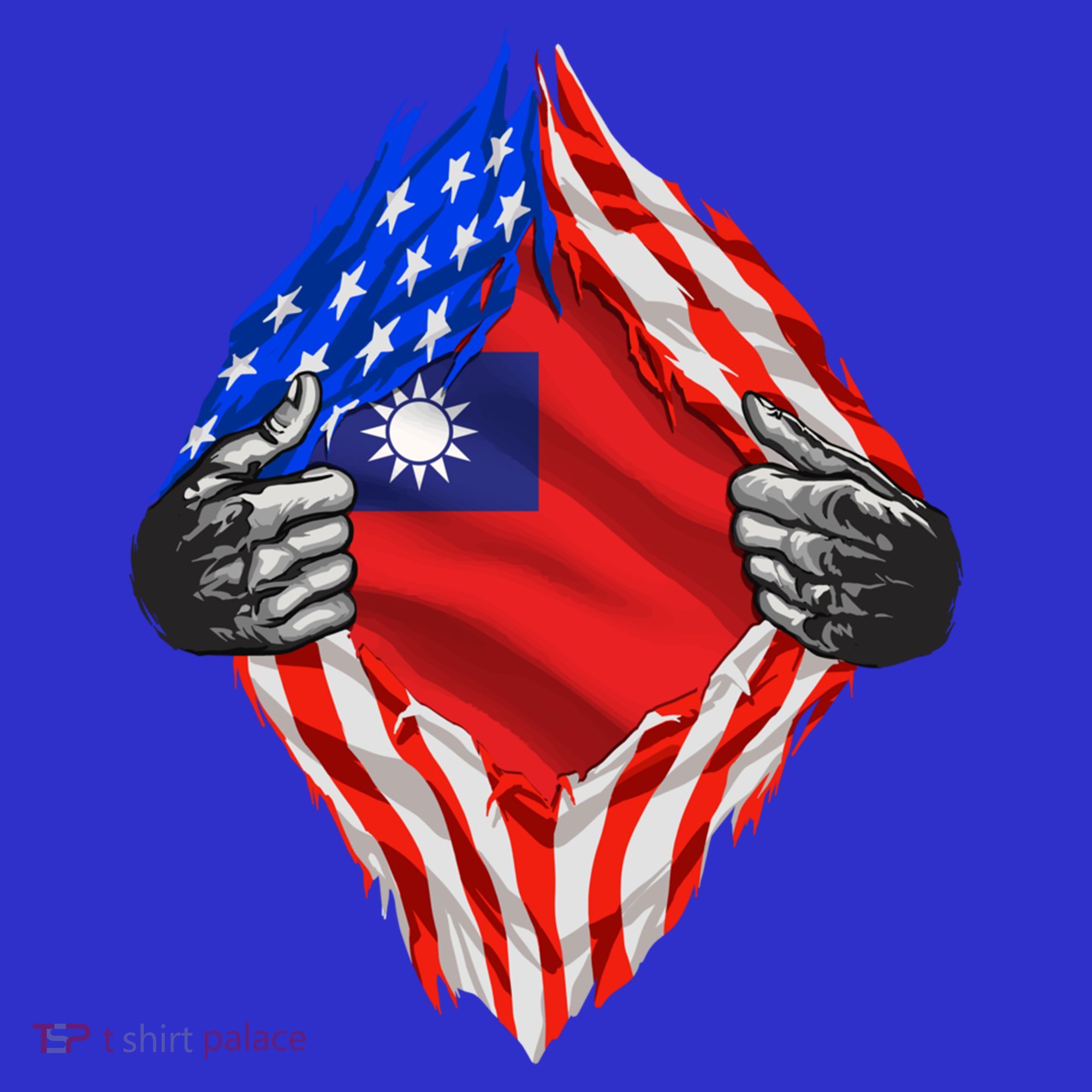 Super Taiwanese Heritage Taiwan Roots Usa Flag Cool Gift T-Shirt