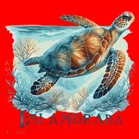 Sea Turtle Islamorada Florida Keys Santa Hat thumb 1
