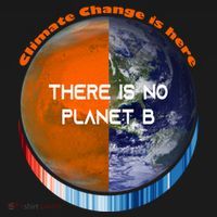 Showyourstripes – There Is No Planet B Climate Change Gift Ornament thumb 1
