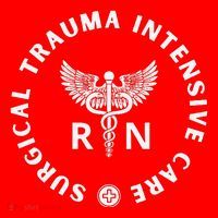 Surgical Trauma Icu Nurse Rn Sticu Nurse Appreciation Santa Hat thumb 1