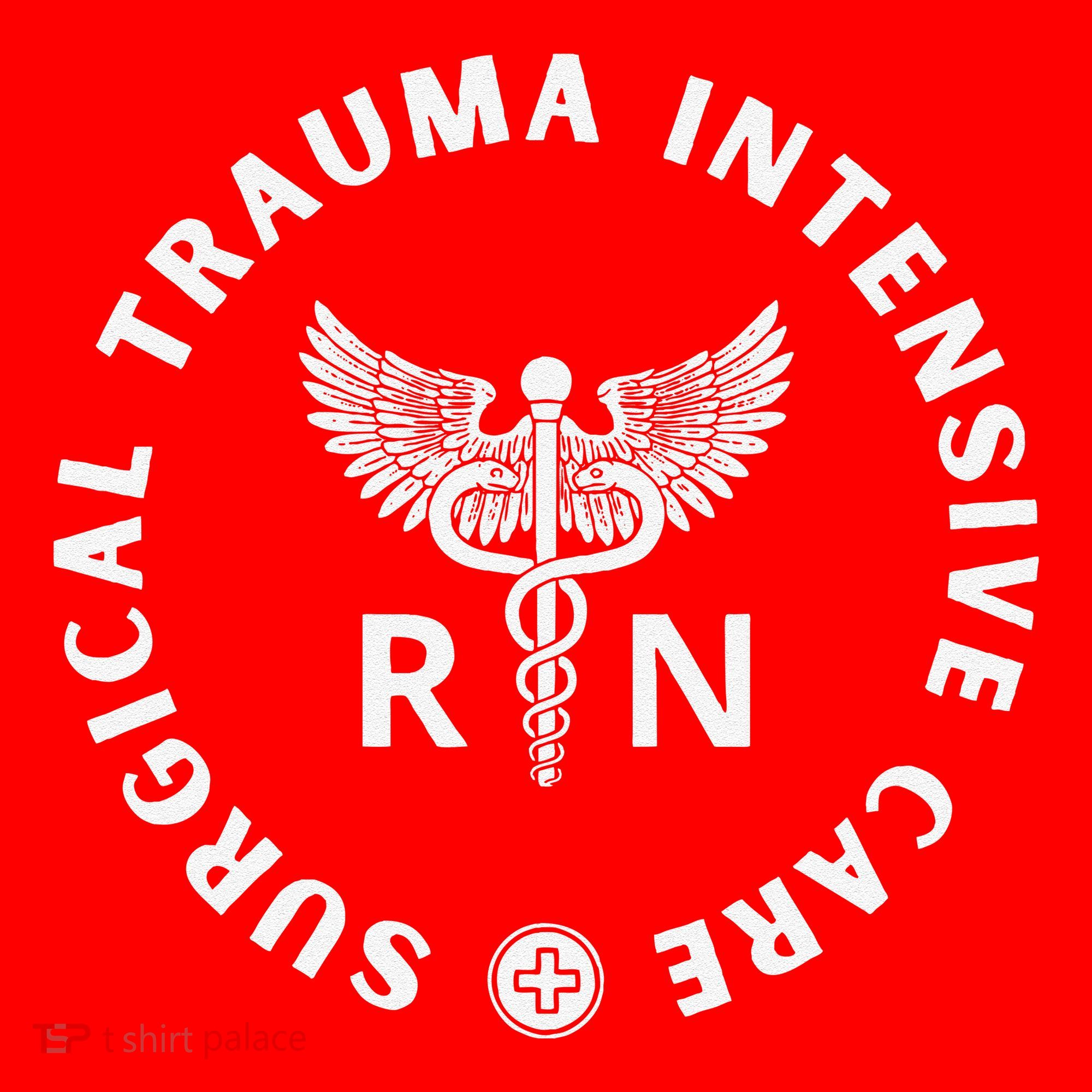 Surgical Trauma Icu Nurse Rn Sticu Nurse Appreciation Santa Hat