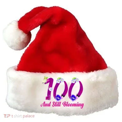 Santa Hat