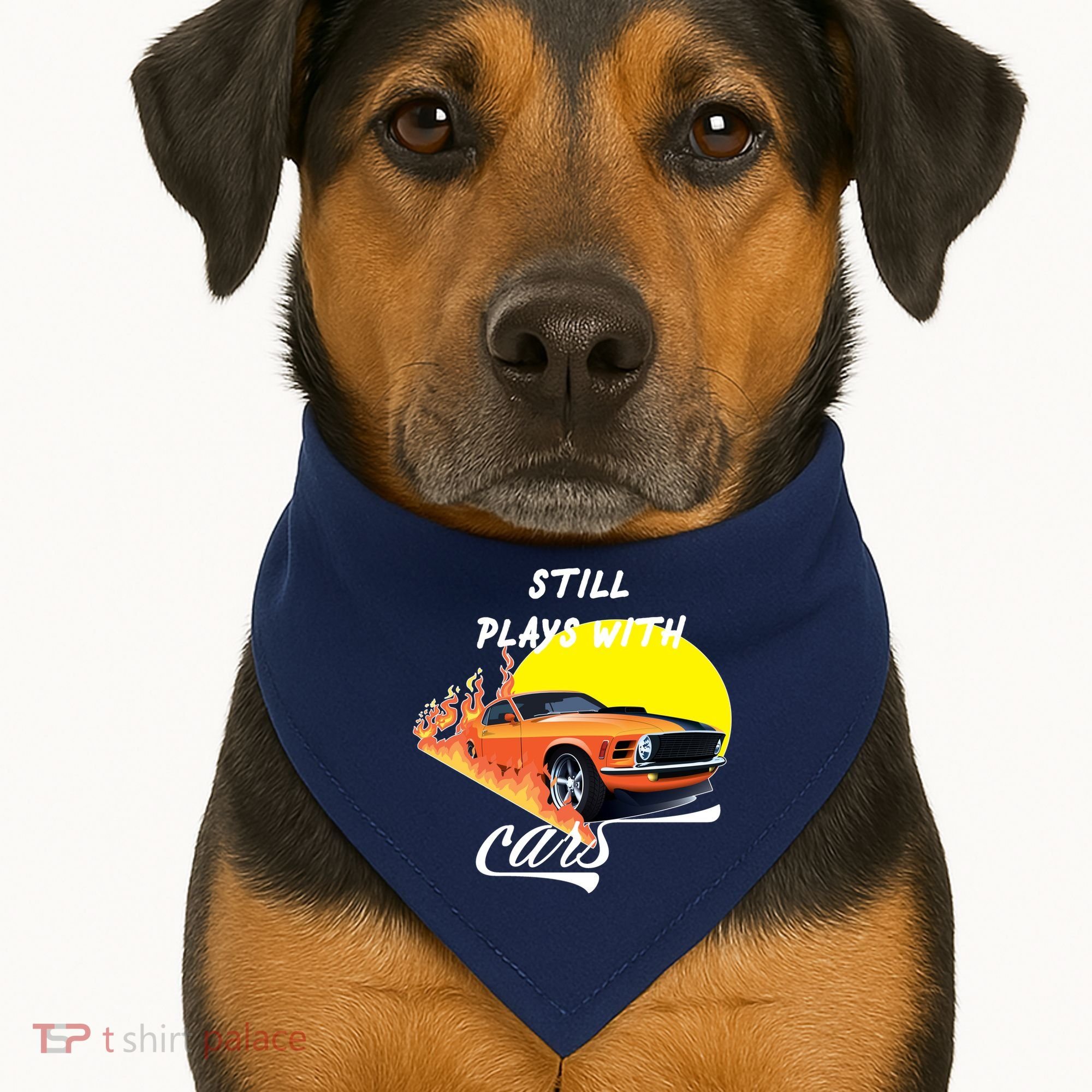 Still Plays With Cars Matching Family USA-Made Doggie Bandana