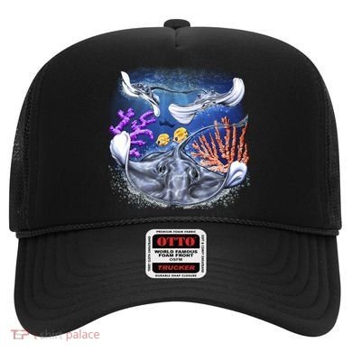 Stingrays Hat