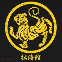 Shotokan Tiger Karate Symbol Gift Gold Martial Art Gift Ornament thumb 1