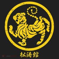 Shotokan Tiger Karate Symbol Gift Gold Martial Art Gift Hat thumb 2