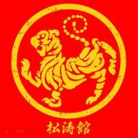 Shotokan Tiger Karate Symbol Gift Gold Martial Art Gift Santa Hat thumb 1