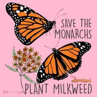 Save The Monarchs Plant Some Milkweed Butterfly Gift Meaningful Gift Coaster thumb 2
