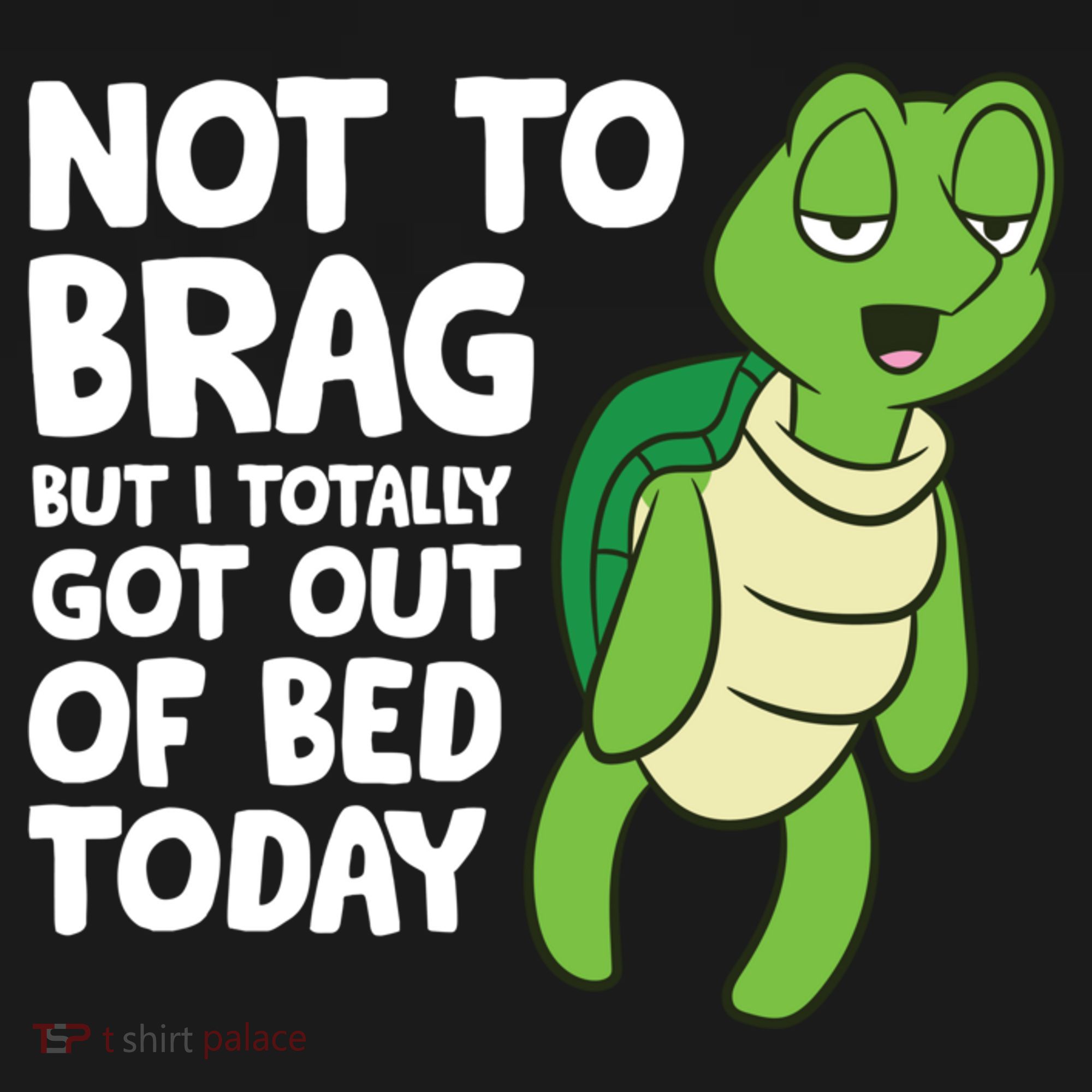 Sea Turtle Not To Brag But I Totally Got Out Of Bed Today T-Shirt