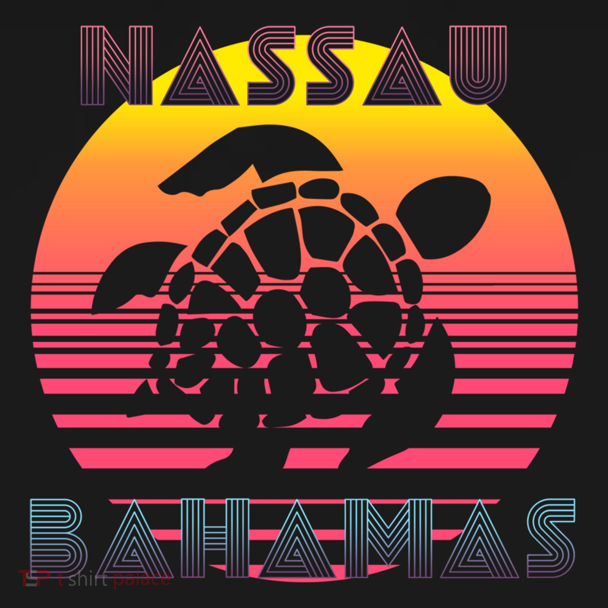 Sea Turtle Nassau Bahamas Beach Travel Souvenir Vacation Gift Women's Hoodie