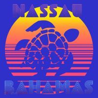 Sea Turtle Nassau Bahamas Beach Travel Souvenir Vacation Gift Women's Tank Top thumb 5