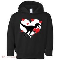 Stole My Heart Cute Dinosaur Toddler Hoodie thumb 0