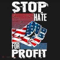 Stop Hate for Profit USA Flag Fist Toddler Hoodie thumb 2