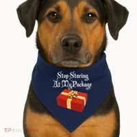 Stop Staring At My Package Christmas Present X-Mas USA-Made Doggie Bandana thumb 1