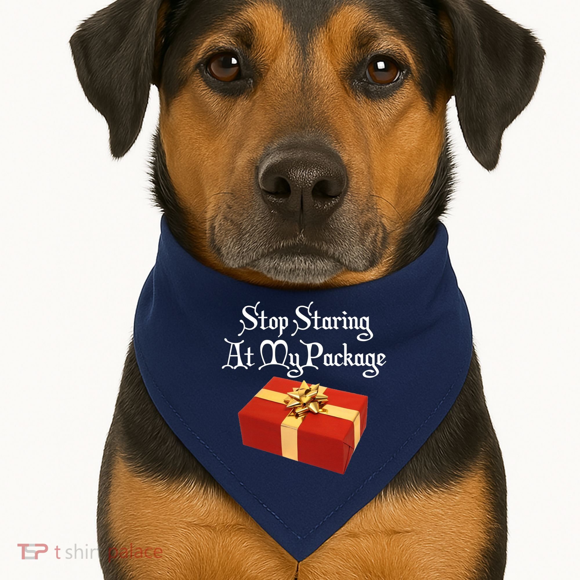 Stop Staring At My Package Christmas Present X-Mas USA-Made Doggie Bandana