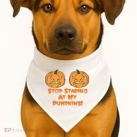 Stop Staring At My Pumpkins Halloween Costume USA-Made Doggie Bandana thumb 1
