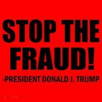 Stop The Fraud Donald J Trump Santa Hat thumb 1