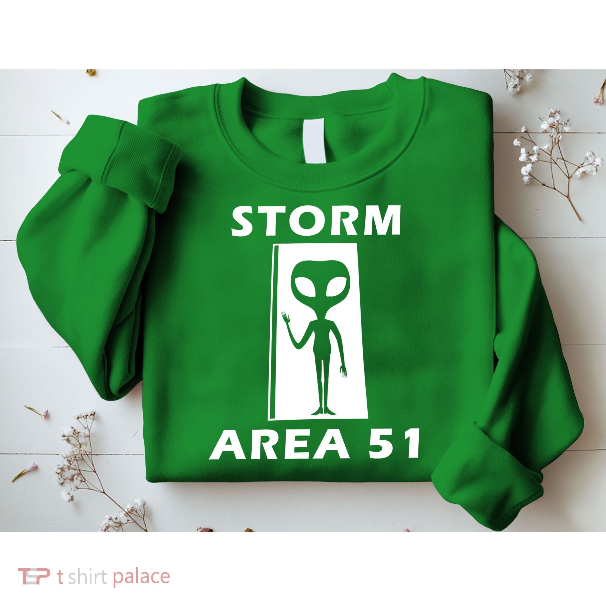 Storm Area 51 Sweatshirt