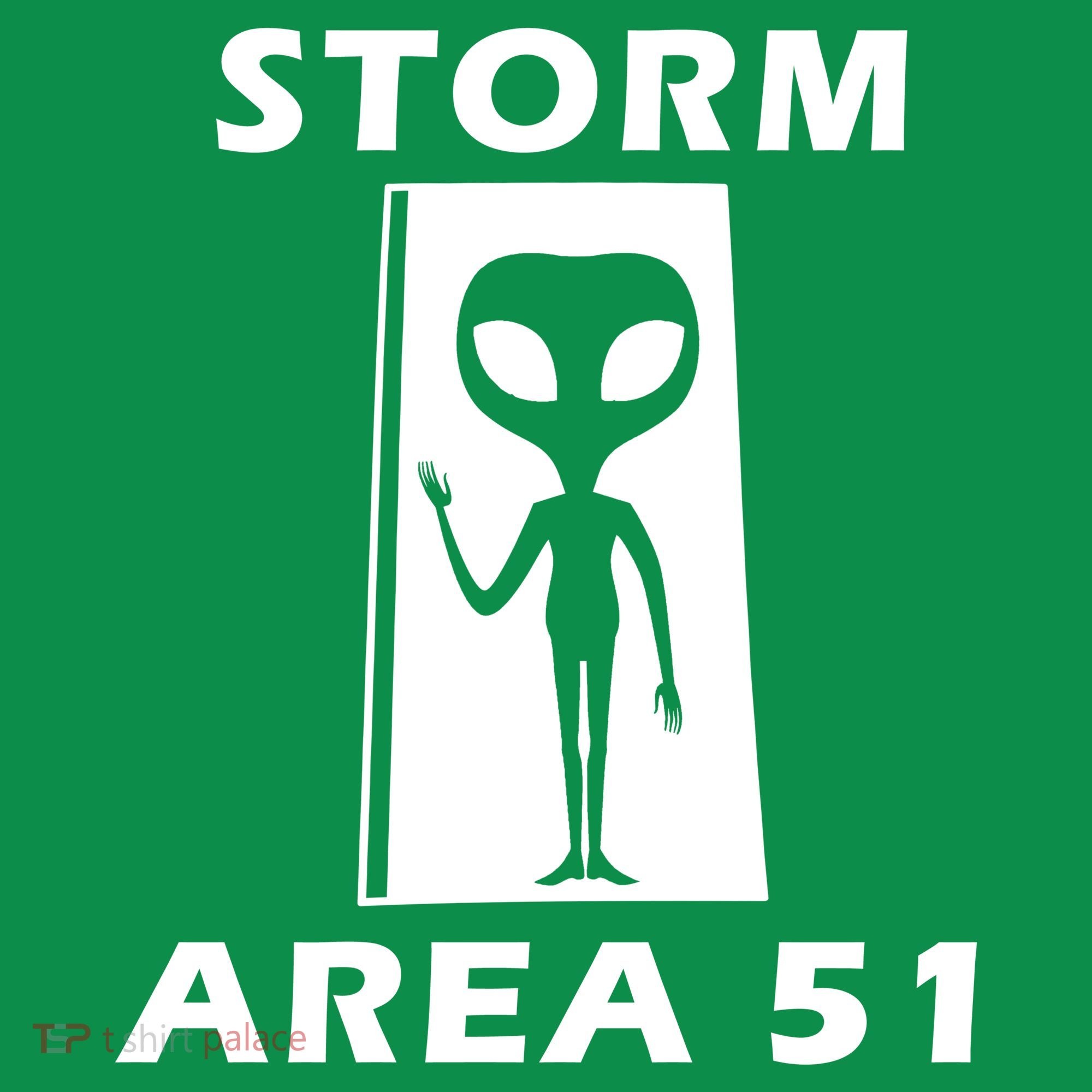 Storm Area 51 Ornament