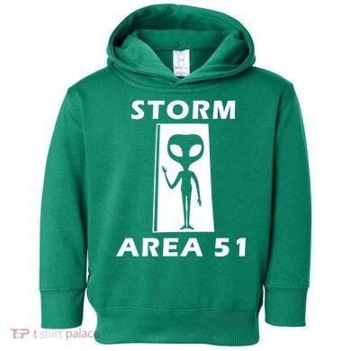 Storm Area 51 Toddler Hoodie