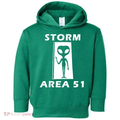 Storm Area 51 Toddler Hoodie
