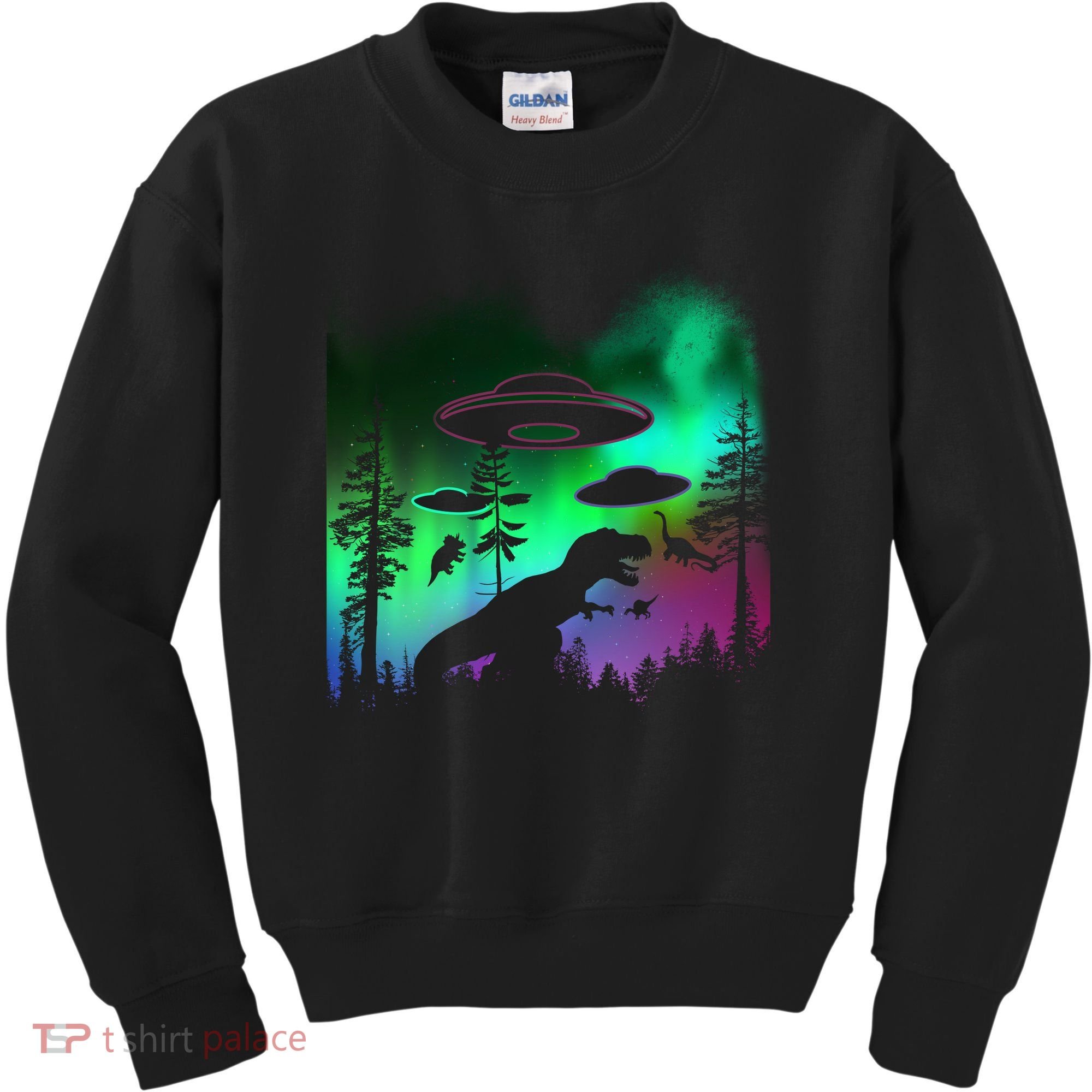 Storm Area 51 Alien Dinosaur UFO Kids Sweatshirt