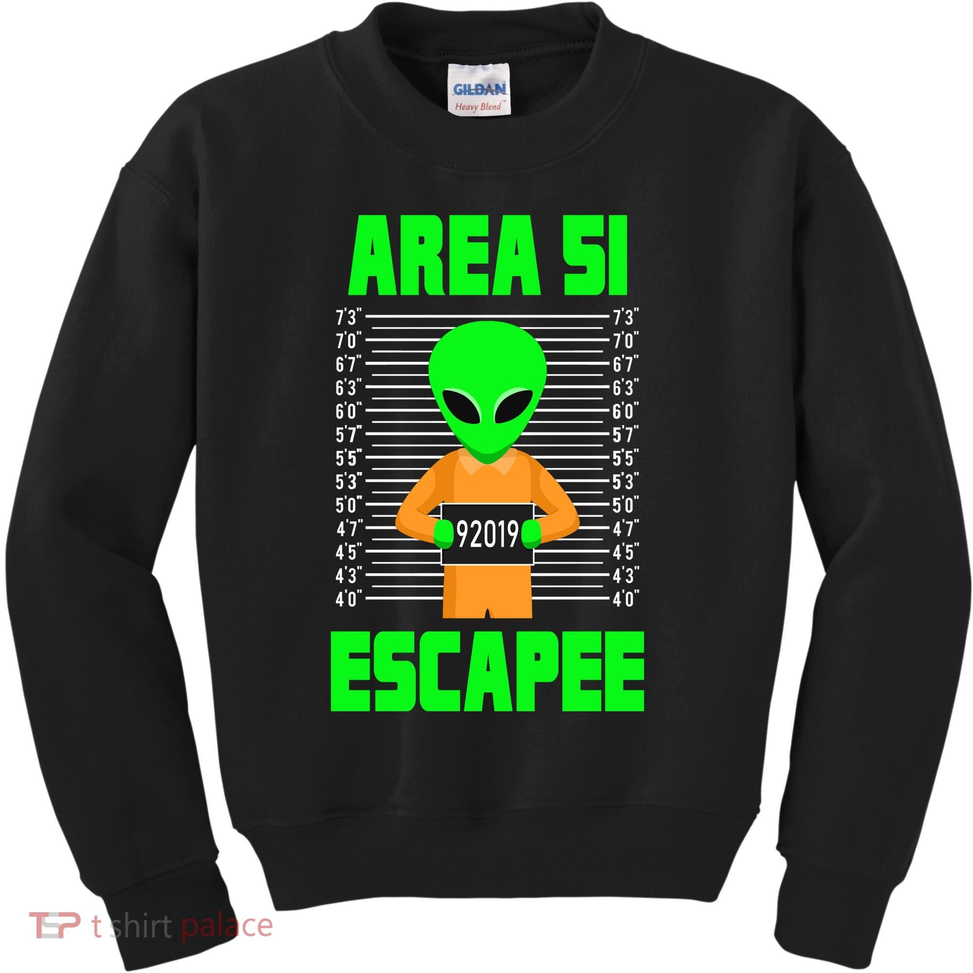Storm Area 51 Alien Escapee Kids Sweatshirt