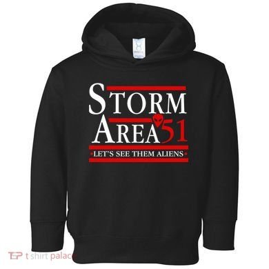 Storm Area 51 Campaign Toddler Hoodie