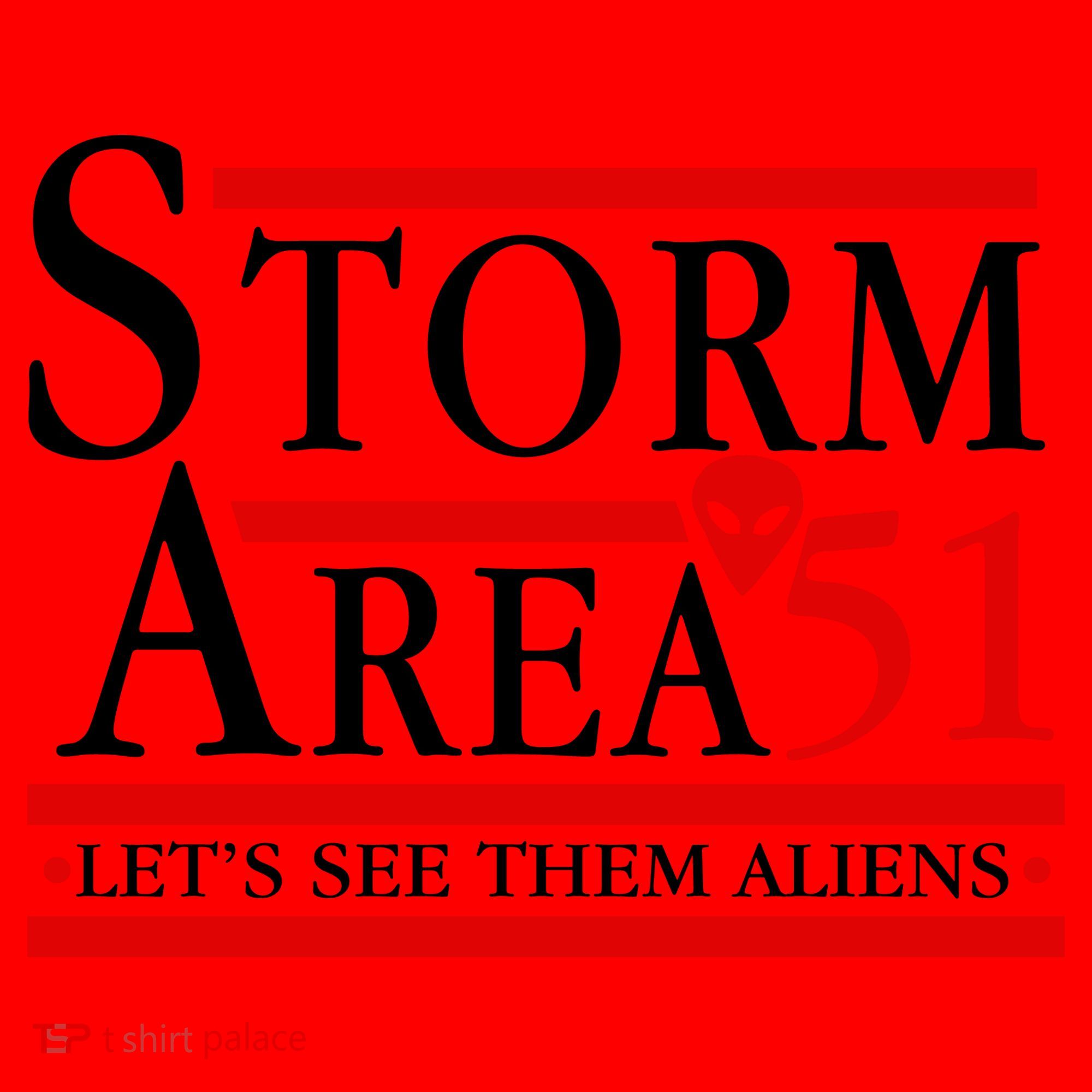 Storm Area 51 Campaign Santa Hat