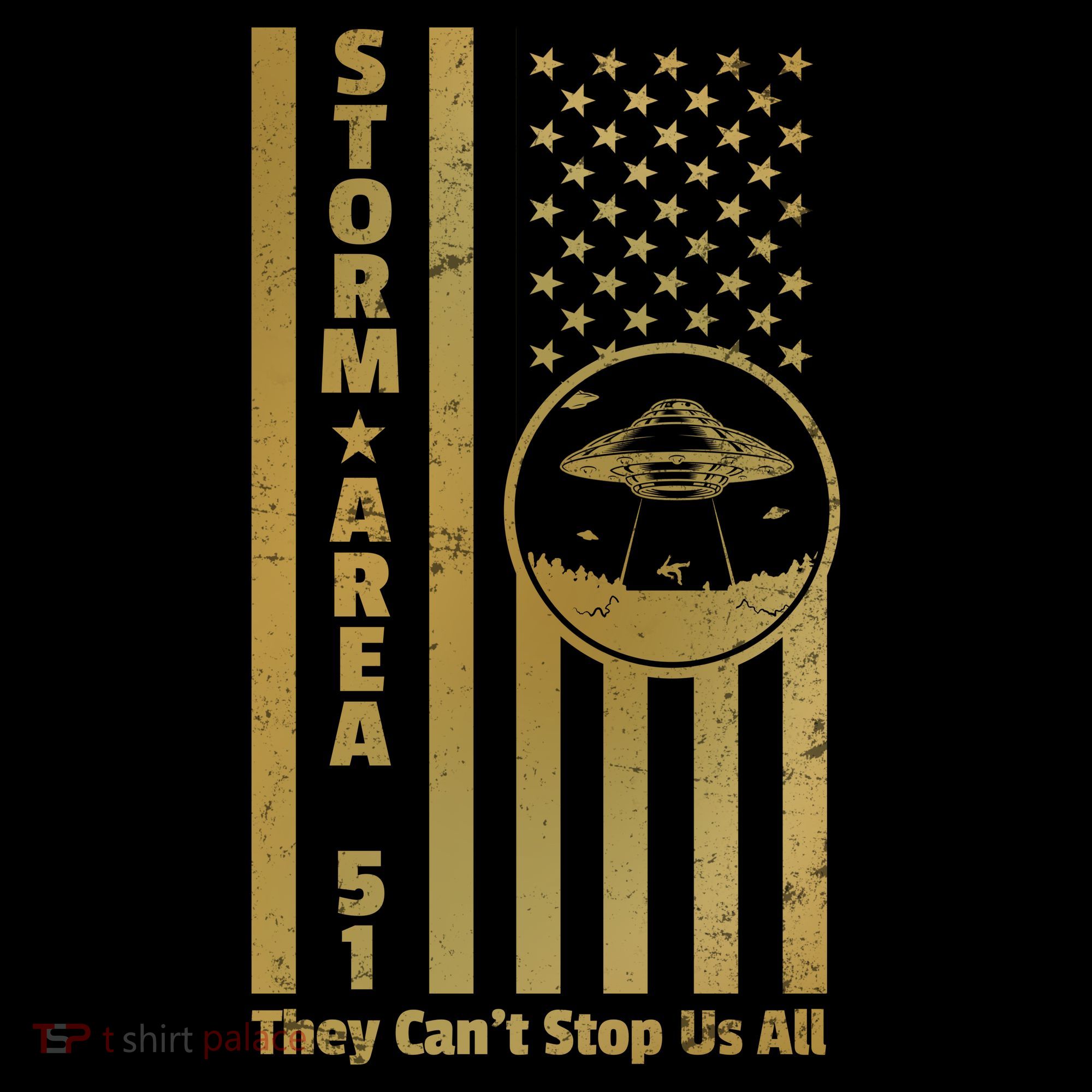 Storm Area 51 Golden Flag Women's Hoodie