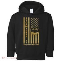Storm Area 51 Golden Flag Toddler Hoodie thumb 0