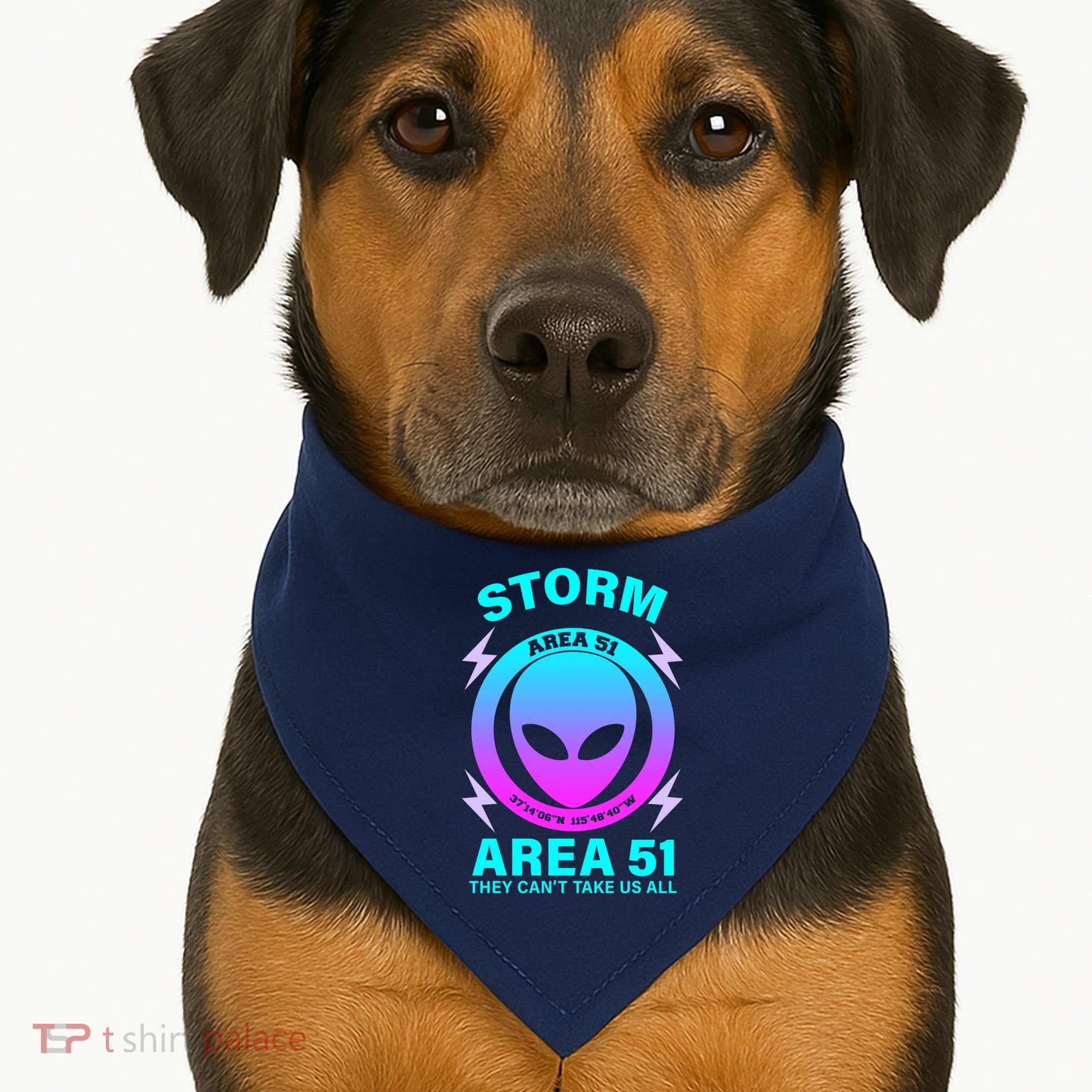 Storm Area 51 They Can't Stop Us All USA-Made Doggie Bandana