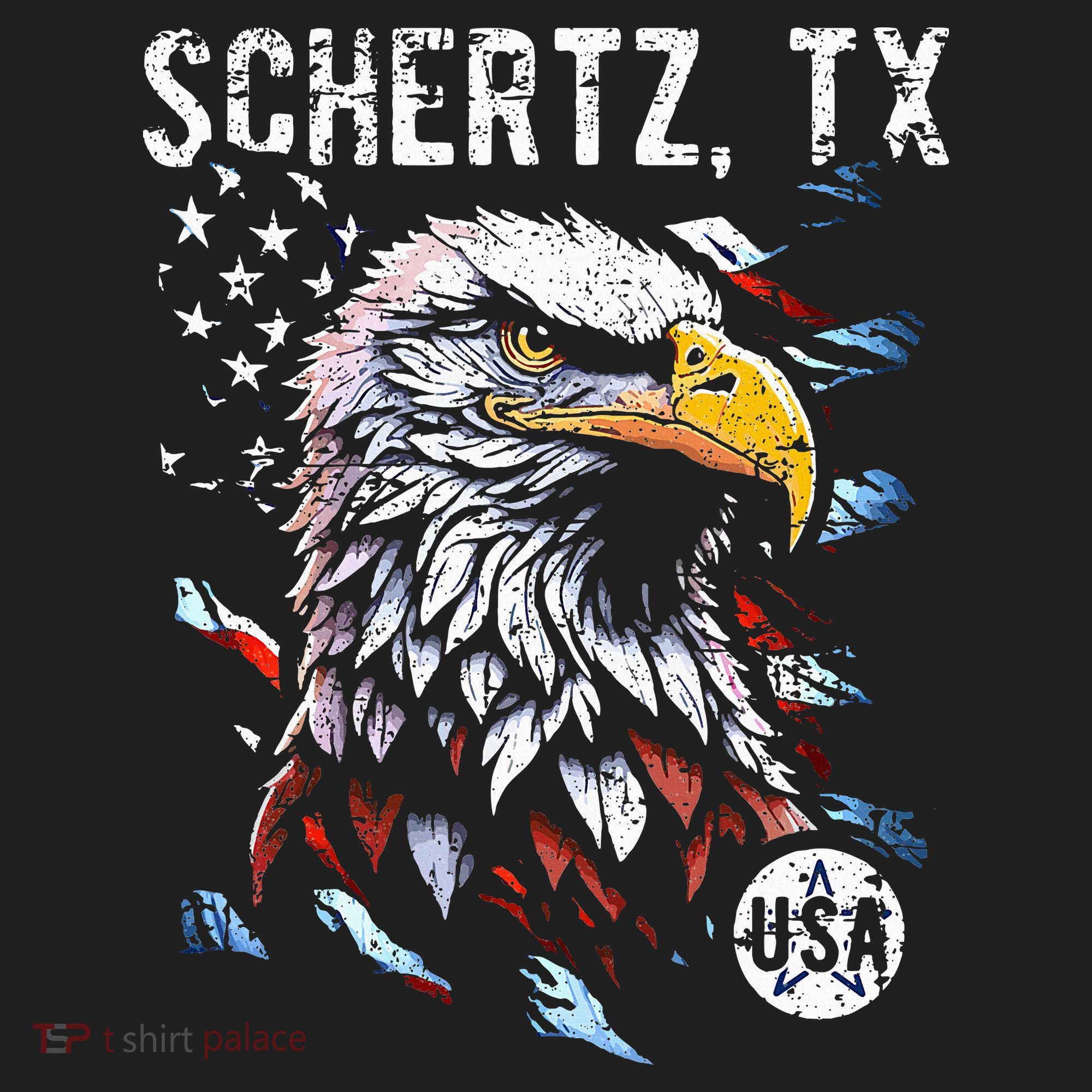 Schertz Texas Patriotic Eagle Usa Flag Hat