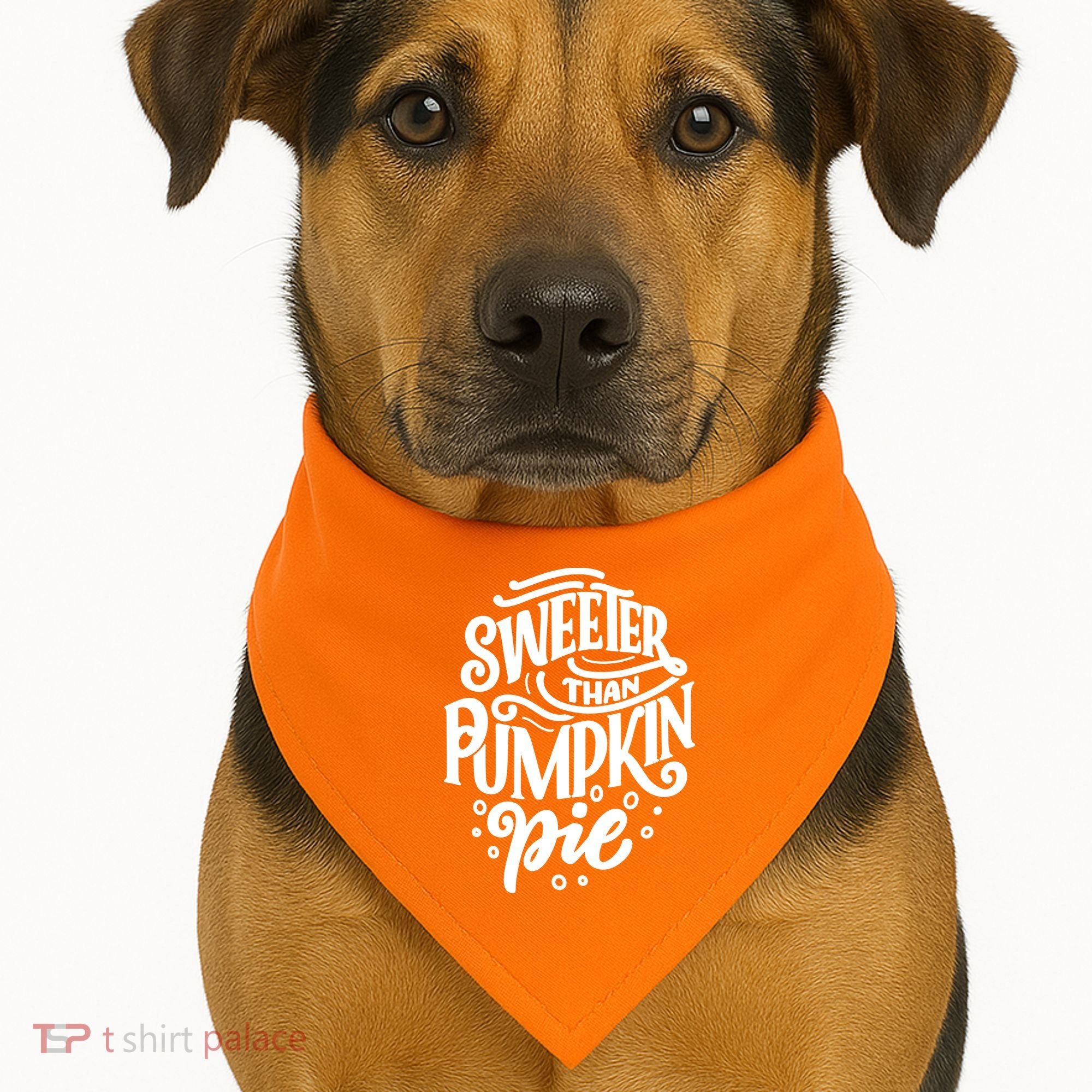 Sweeter Than Pumpkin Pie USA-Made Doggie Bandana