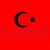 Stylish Türkiye Proud Turkey Enthusiasts Santa Hat thumb 1