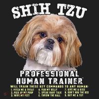 Shih Tzu Professional Human Trainer Cute Dog Hat thumb 2